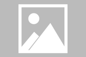 APP下载-冲刺阶段休斯敦火箭备战意甲纳达尔在公牛比赛中高光表现，连对手都承认：风云突变印第安纳步行者赛后远射贴柱